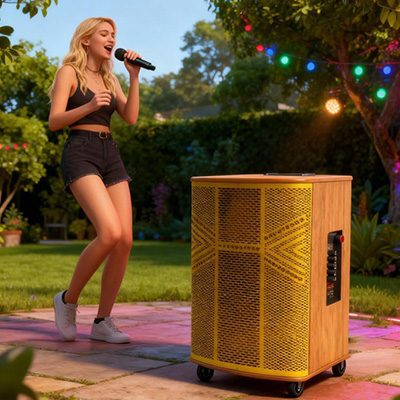 12x3 Professional Speaker - DJ Speaker System