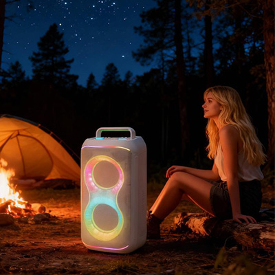 10x2 Partybox Speaker - Professional Karaoke Speaker